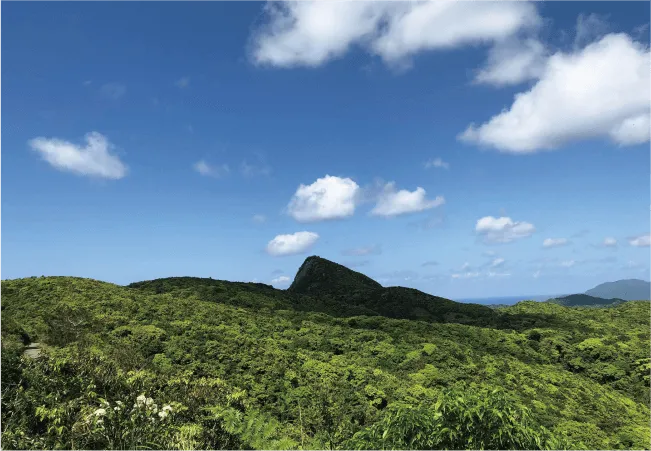 野底岳