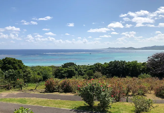 玉取崎展望台から眺める石垣島東海岸