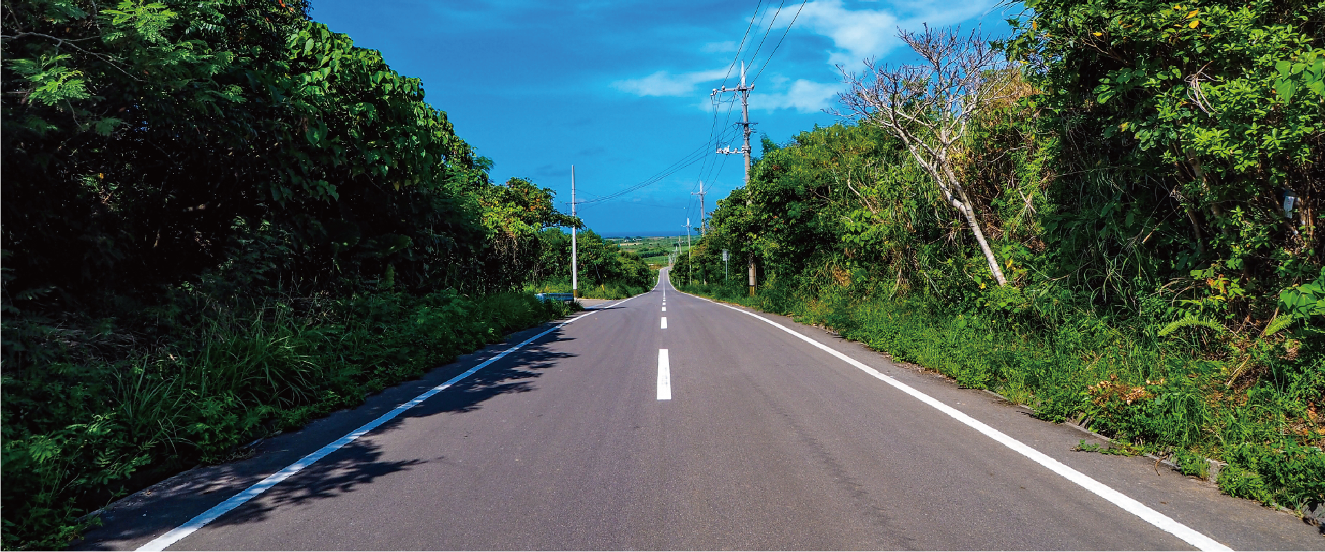 石垣島の海と道の風景