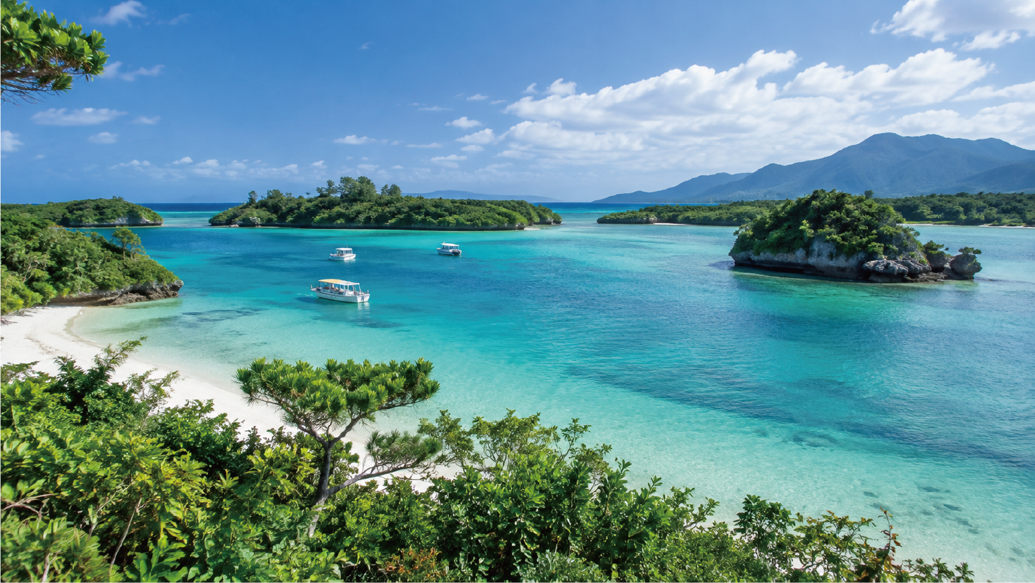 エメラルドグリーンの海が広がる川平湾