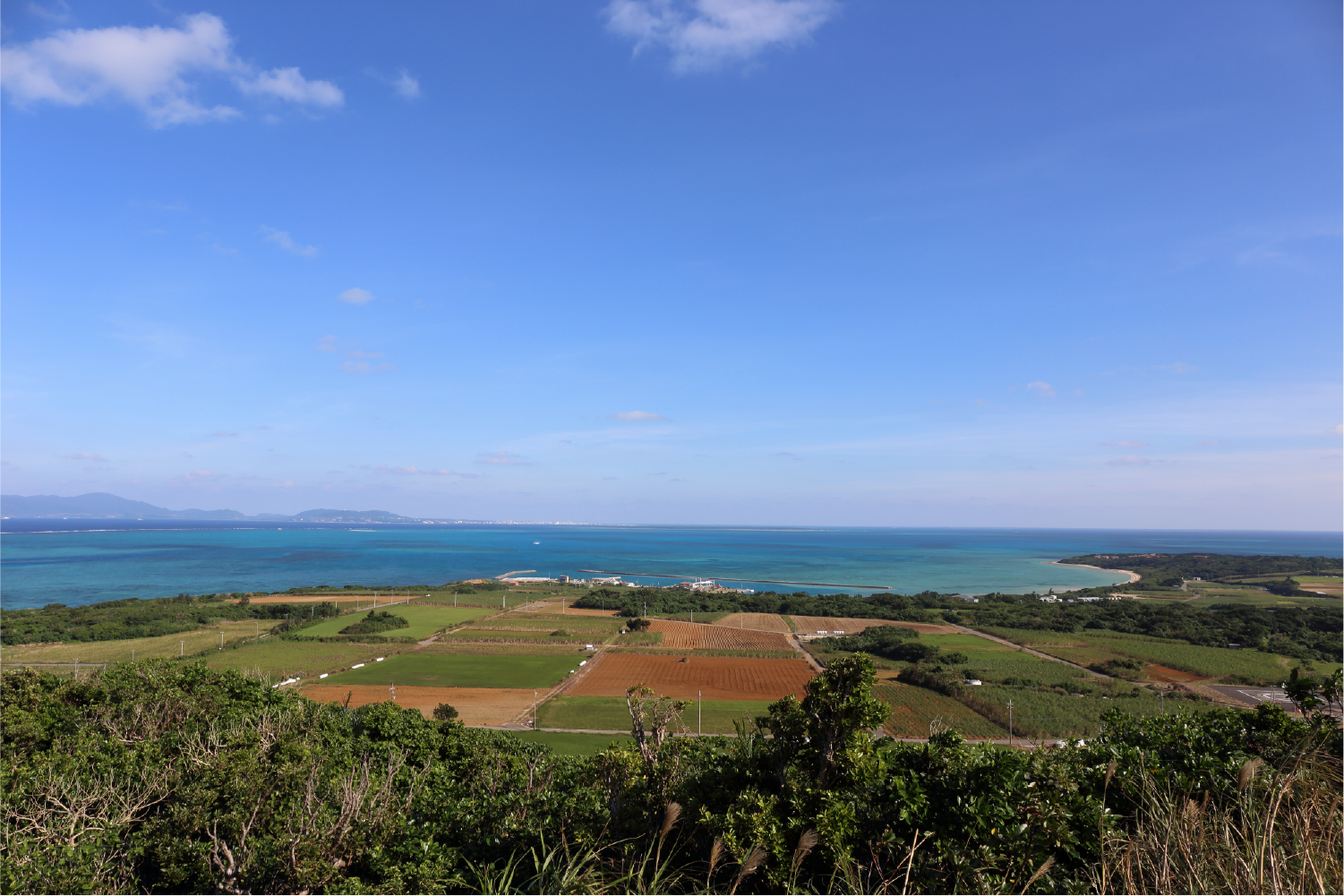 大岳から見渡す小浜島の畑と海
