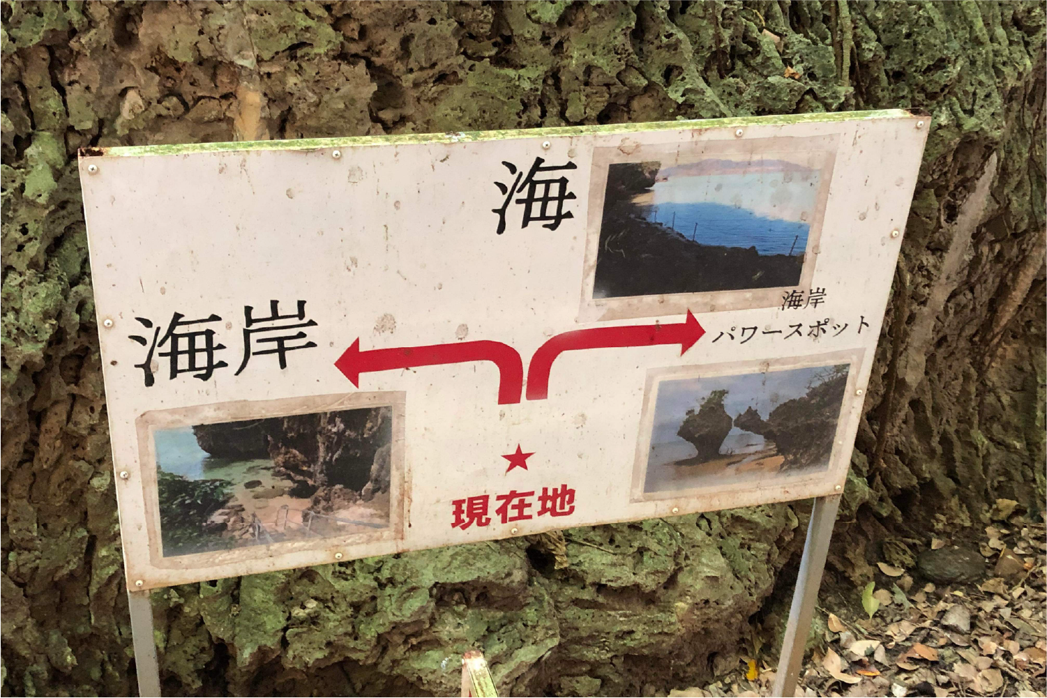 伊原間サビチ洞の洞内設備・案内・階段・海岸風景 6