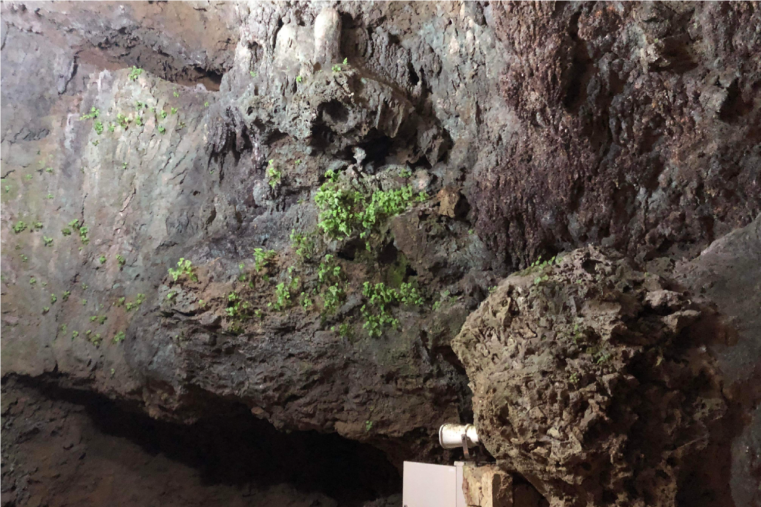 伊原間サビチ洞の洞内設備・案内・階段・海岸風景 7